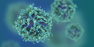 Cancer Cell