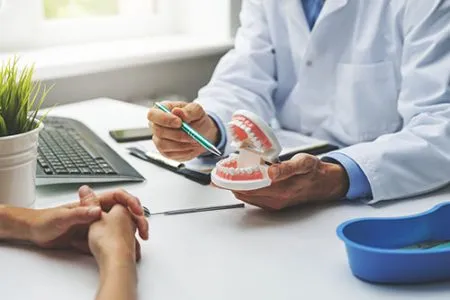 doctor holding a model of teeth